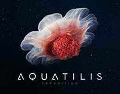 Russische Drohnen griffen die Westukraine an